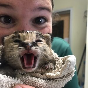 Meet your Posher, Allyson